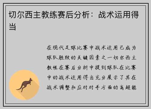 切尔西主教练赛后分析：战术运用得当